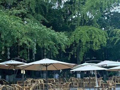 成都休闲怎么样 喝茶逛公园太安逸了