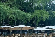 成都本地人教你：茶馆、公园、街巷里，这些地方才是真正的休闲好去处