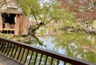 成都休闲哪里好？这几处神仙地方让你坐着发呆一整天