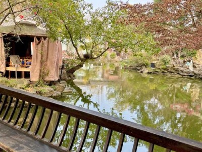 成都休闲哪里好？这几处神仙地方让你坐着发呆一整天