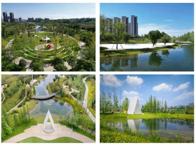 休闲之都成都：独特休闲方式，融合日常尽显舒适愉悦