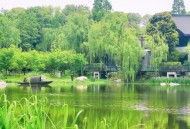 成都休闲好去处：浣花溪公园绿意浓，隐匿老街烟火气中