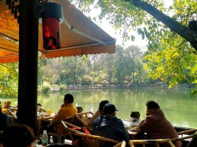 成都休闲之美，人民公园慢时光背后的生活智慧与独特韵味