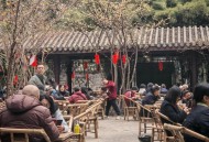 成都休闲怎么玩？本地人带你解锁地道喝茶、公园玩法与夜生活