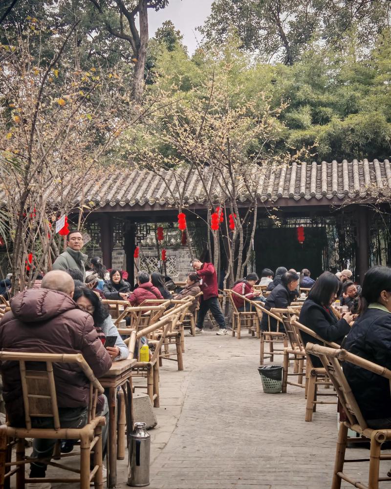 成都的休闲理念_成都休闲指南_休闲的成都