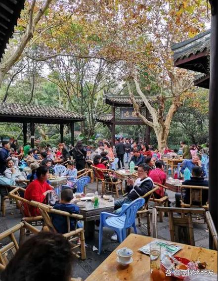 成都休闲项目_成都休闲怎么样_休闲城市成都